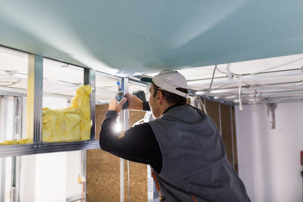 Best Insulation Maintenance and Repair in Valdosta, GA